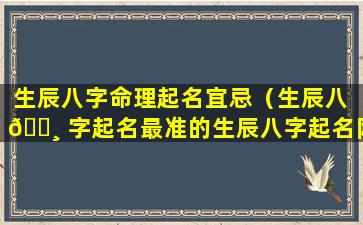 生辰八字命理起名宜忌（生辰八 🕸 字起名最准的生辰八字起名网）